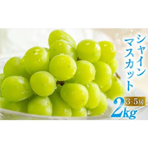 ふるさと納税 長崎県 南島原市 [2024年8月中旬〜発送][数量限定]シャインマスカット 2kg(3房〜5房) / 果物 フルーツ / 南島原市 / 長崎県農産品流通…