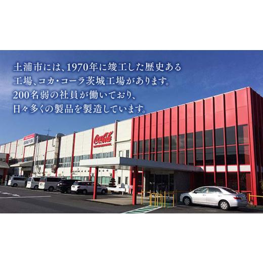 ふるさと納税 茶の葉類 緑茶（飲み料） 茨城県 土浦市  5ヶ月定期便 からだおだやか茶W350mlペットボトル×120本(5入れもの) | からだおだやか茶W 茶の葉 緑茶 日本茶 …