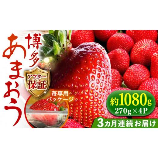 ふるさと納税 いちご 福岡県 築上町 2025年2月より順次発送 全3回定期便 農家直送 朝どり新鮮いちご 博多あまおう 約270g×4パック[築上町] 株式会社H&amp;…