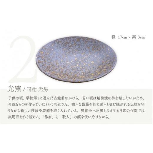 ふるさと納税 食器・グラス 皿 福井県 越前町 e25-c005 越前焼 窯元