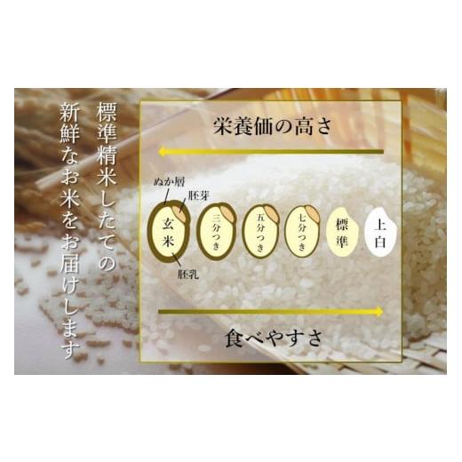 最新 ふるさと納税 新潟県 南魚沼市 【HIROTA：定期便／10ｋｇ×全3回】南魚沼産コシヒカリ食味コンテスト2年連続優秀賞受賞農家のこだわり米＜クラウドファンディ… 【KUE1318832283】(46460円)