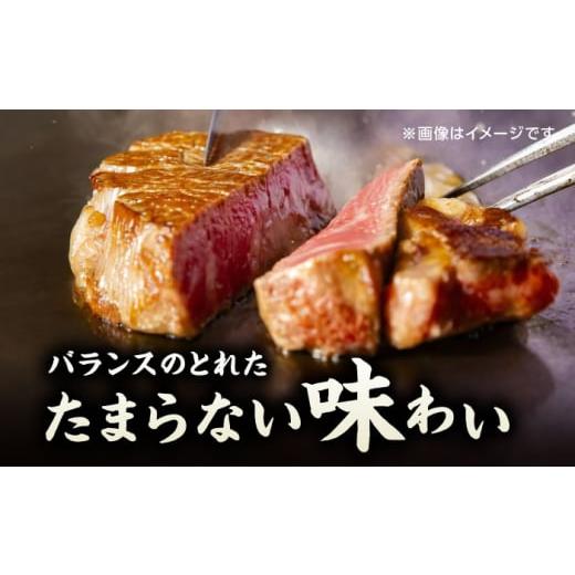 ふるさと納税 牛肉 ヒレ 熊本県 山鹿市  12回定期便 くまもと黒毛和牛 ステーキ食べ比べ ヒレステーキ サーロインステーキ 馬刺しの郷 民守 食べ比べ セット …_3