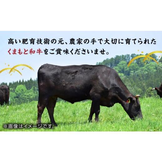 ふるさと納税 牛肉 ヒレ 熊本県 山鹿市  12回定期便 くまもと黒毛和牛 ステーキ食べ比べ ヒレステーキ サーロインステーキ 馬刺しの郷 民守 食べ比べ セット …_4