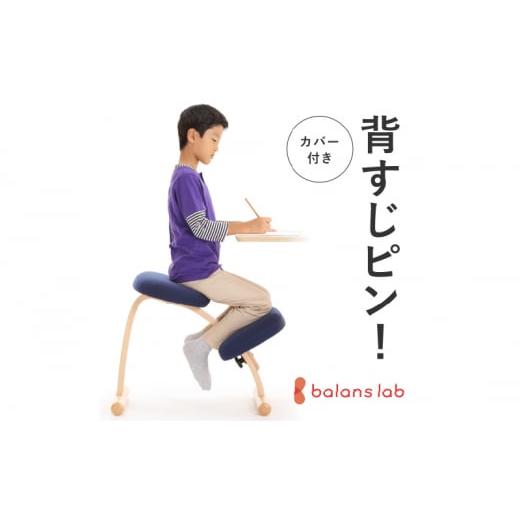 ふるさと納税 雑貨・日用品 インテリア 岐阜県 美濃市   0231バランス イージー(カバー付き)ショート:ネイビー+カバー:ネイビー ショートネイビー…