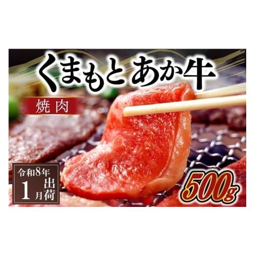 ふるさと納税 牛肉 焼肉・バーベキュー 熊本県 南小国町 [令和8年1月出荷]熊本県産GI認証取得 くまもとあか牛(焼肉用500g) 令和8年1月出荷分