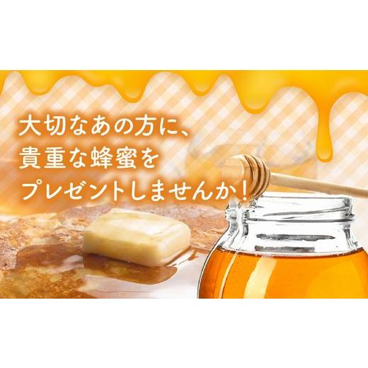 ふるさと納税 加工品等 はちみつ 鹿児島県 南九州市 国産レンゲ蜂蜜600g 1186136の画像