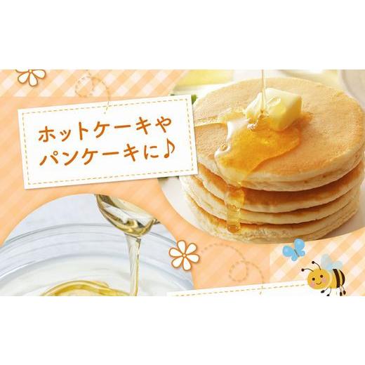 ふるさと納税 加工品等 はちみつ 鹿児島県 南九州市 国産レンゲ蜂蜜600g 1186136の画像