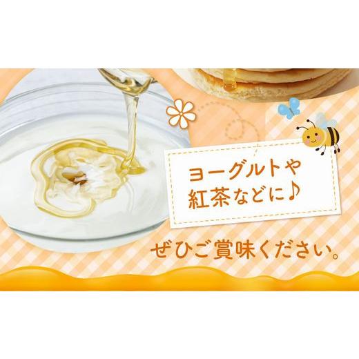 ふるさと納税 加工品等 はちみつ 鹿児島県 南九州市 国産レンゲ蜂蜜600g 1186136の画像