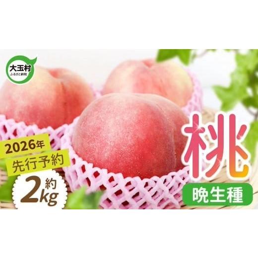 ふるさと納税 もも 福島県 大玉村 桃 先行予約 桃 福島 大玉村 約 2kg 約6玉 2026年産 8月中旬〜9月下旬発送 | 令和8年産 農家直送 もぎたて 朝獲れ 菊地果樹…