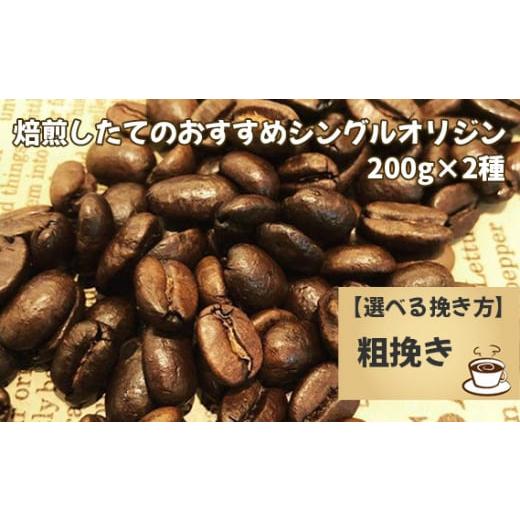 ふるさと納税 コーヒー コーヒー粉 千葉県 野田市 No.170-02 焙煎したてのおすすめシングルオリジン 200g×2種(粗挽き) 粗挽き