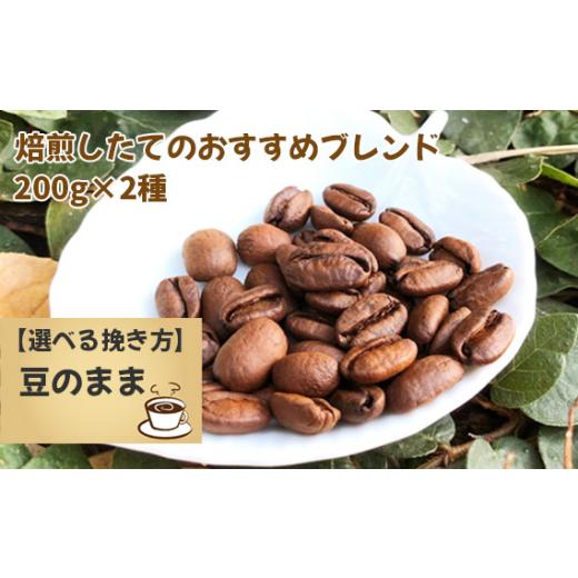 ふるさと納税 コーヒー コーヒー豆 千葉県 野田市 No.171-01 焙煎したてのおすすめブレンド 200g×2種(豆) 豆