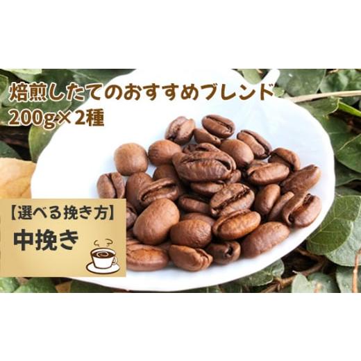 ふるさと納税 コーヒー コーヒー粉 千葉県 野田市 焙煎したてのおすすめブレンド 200g×2種(中挽き) No.171-03 中挽き