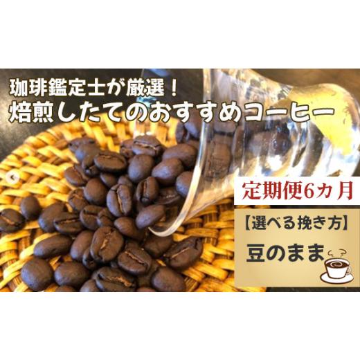 ふるさと納税 コーヒー コーヒー豆 千葉県 野田市 No.178-01 毎月定期便6回 珈琲鑑定士が厳選 焙煎したてのおすすめコーヒー(豆) 豆