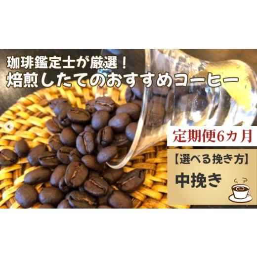 ふるさと納税 コーヒー コーヒー粉 千葉県 野田市 毎月定期便6回 珈琲鑑定士が厳選 焙煎したてのおすすめコーヒー(中挽き) No.178-03 中挽き
