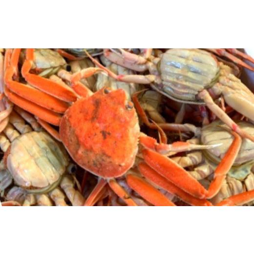 ふるさと納税 カニ 松葉ガニ 鳥取県 若桜町 199-2. 魚倉 セコガニ(親ガニ、せいこがに) ボイル 不揃いサイズ 訳あり たっぷり1kgセット ボイル