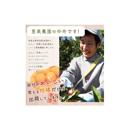 ふるさと納税 果物類 みかん 和歌山県 湯浅町 AN6114_ 2026年先行予約 有田みかん1kgサイズ混合 |  | 02