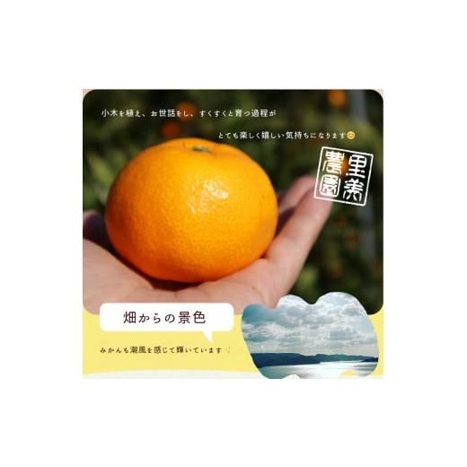 ふるさと納税 果物類 みかん 和歌山県 湯浅町 AN6114_ 2026年先行予約 有田みかん1kgサイズ混合 |  | 03
