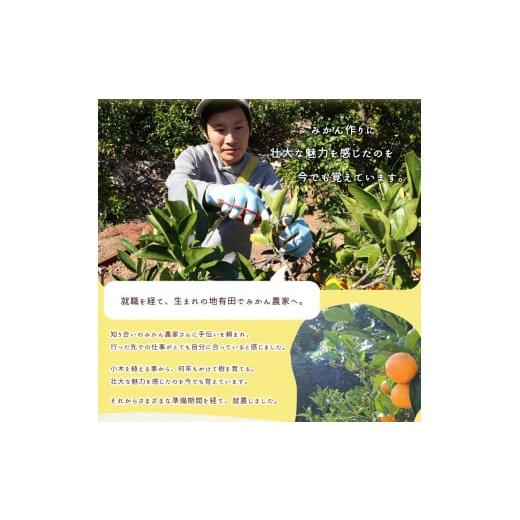 ふるさと納税 果物類 みかん 和歌山県 湯浅町 AN6114_ 2026年先行予約 有田みかん1kgサイズ混合 |  | 05