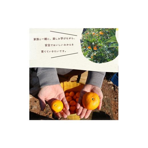 ふるさと納税 果物類 みかん 和歌山県 湯浅町 AN6114_ 2026年先行予約 有田みかん1kgサイズ混合 |  | 06