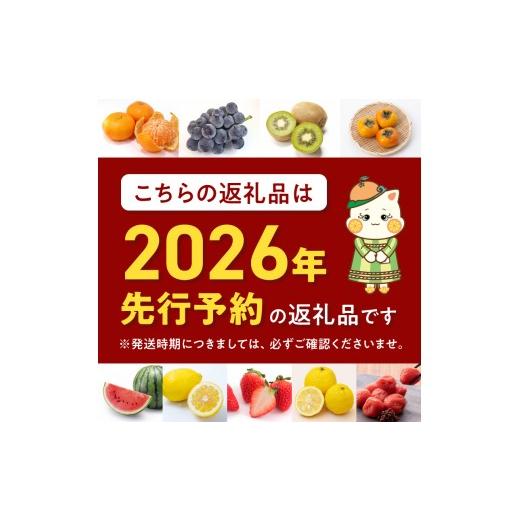 ふるさと納税 果物類 みかん 和歌山県 湯浅町 AN6114_ 2026年先行予約 有田みかん1kgサイズ混合 |  | 07
