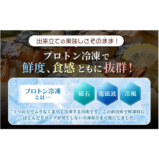 ふるさと納税 福井県 越前町 魚屋が作る 浜焼き鯖寿司 2本 セット！浜焼き鯖寿司（生姜）×1本 浜焼き鯖寿司（ゆず）×1本【さば サバ 鯖 寿司 すし 焼き 魚 …｜furusatochoice｜06