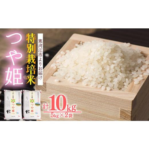ふるさと納税 米 つや姫 山形県 寒河江市 2025年11月後半 特別栽培米 新米 山形県産 つや姫 10kg(5kg×2袋) 令和7年産 / 2025年産 白米 精米 お米 米 小分…