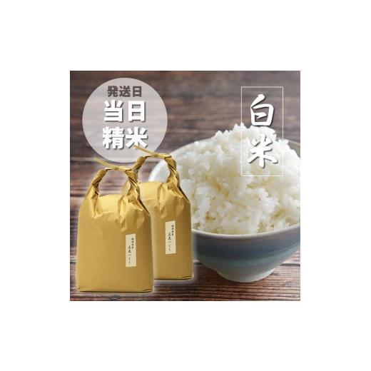ふるさと納税 米 福岡県 大川市 令和7年産 福岡県産 特A 評価のお米「元気つくし」5kg×2袋 10kg 白米_1