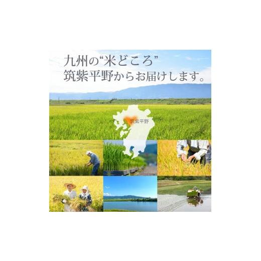 ふるさと納税 米 福岡県 大川市 令和7年産 福岡県産 特A 評価のお米「元気つくし」5kg×2袋 10kg 白米_2