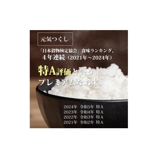 ふるさと納税 米 福岡県 大川市 令和7年産 福岡県産 特A 評価のお米「元気つくし」5kg×2袋 10kg 白米_3