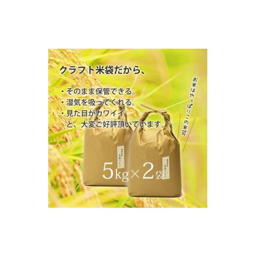 ふるさと納税 米 福岡県 大川市 令和7年産 福岡県産 特A 評価のお米「元気つくし」5kg×2袋 10kg 白米_4