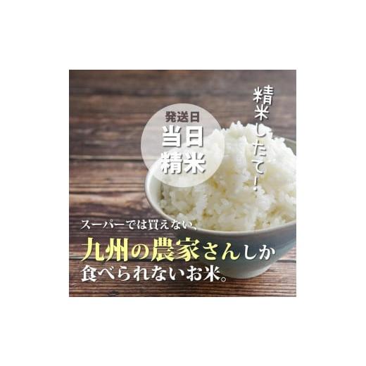 ふるさと納税 米 福岡県 大川市 令和7年産 福岡県産 特A 評価のお米「元気つくし」5kg×2袋 10kg 白米_5