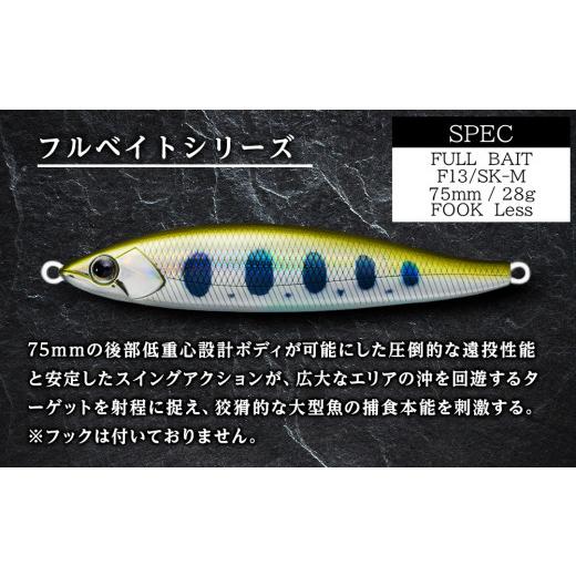 ふるさと納税 フィッシング ルアー・フライ 北海道 千歳市 千歳市支笏