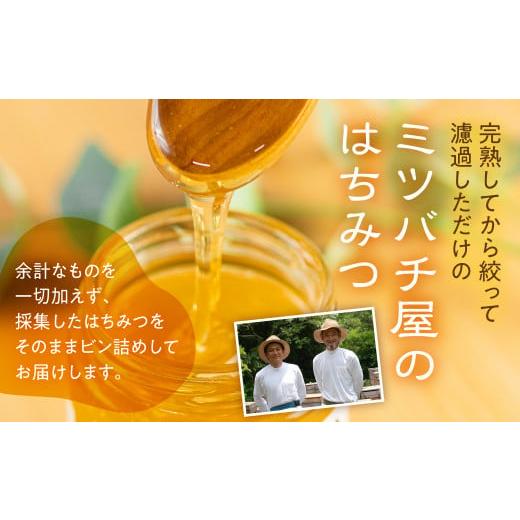 ふるさと納税 加工品等 はちみつ 愛知県 田原市 国産 純粋 無添加 完熟 はちみつ 2種 セット 1200ml_2