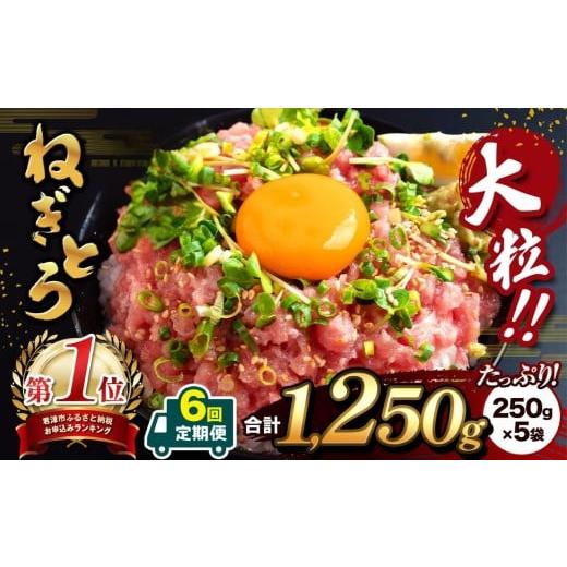 ふるさと納税 マグロ 千葉県 君津市 定期便・6ヶ月 清幸丸水産 大人気 ねぎとろ(250g×5袋)1250g | ネギトロ とろ 鮪 海鮮 魚介 魚 人気 小分け 人気 定番 …