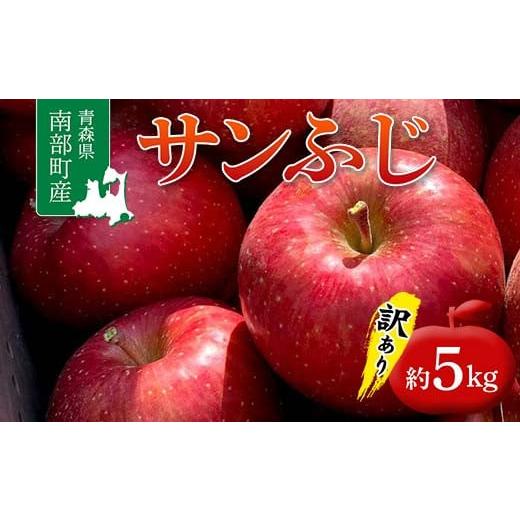 ふるさと納税 青森県 南部町 ≪訳あり≫ 青森県 南部町産 りんご サンふじ 約5kg [盛果園] 青森りんご リンゴ 林檎 アップル あおもり 青森 南部町 果物 く…