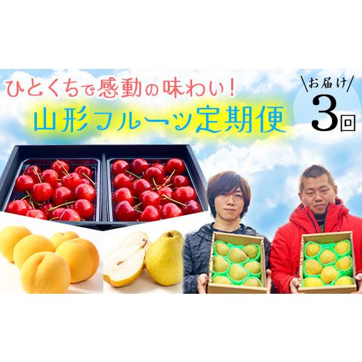 【訳あり・新品】 ふるさと納税 山形県 寒河江市 【定期便3回】【減農薬栽培】 フルーツ３回定期便 特秀品 Bコース さくらんぼ 紅秀峰 黄桃 洋梨 ラネージュ 山形産 2024年産 令… 【G7528064373】(26520円)