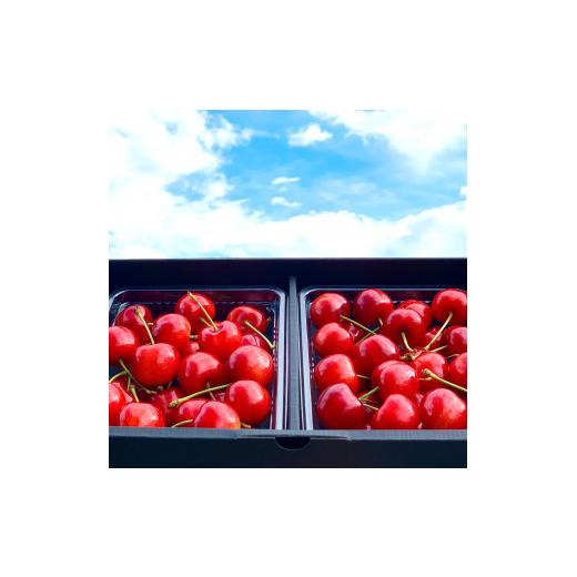 【訳あり・新品】 ふるさと納税 山形県 寒河江市 【定期便3回】【減農薬栽培】 フルーツ３回定期便 特秀品 Bコース さくらんぼ 紅秀峰 黄桃 洋梨 ラネージュ 山形産 2024年産 令… 【G7528064373】(26520円)