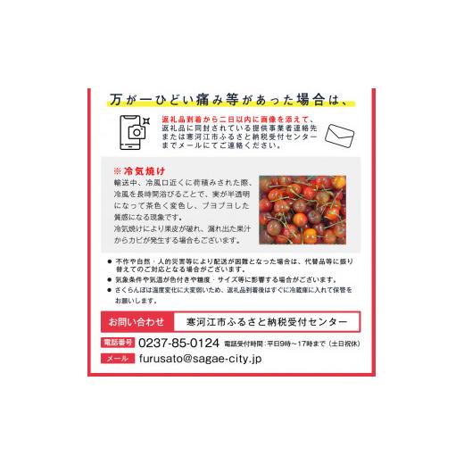 【訳あり・新品】 ふるさと納税 山形県 寒河江市 【定期便3回】【減農薬栽培】 フルーツ３回定期便 特秀品 Bコース さくらんぼ 紅秀峰 黄桃 洋梨 ラネージュ 山形産 2024年産 令… 【G7528064373】(26520円)