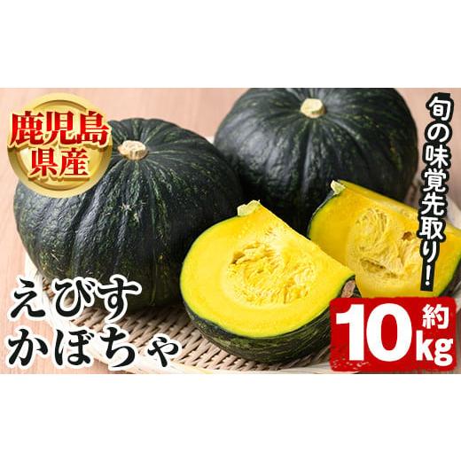 ふるさと納税 野菜類 鹿児島県 阿久根市 先行予約受付中 2026年5月上旬以降順次発送予定 鹿児島県産 えびすかぼちゃ(約10kg) 国産 野菜 かぼちゃ カボチャ 南…