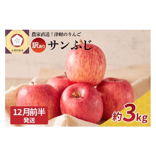 ふるさと納税 りんご 青森県 五所川原市 2025年12月前半発送 訳あり りんご サンふじ 約 3kg 青森 果物 訳アリ リンゴ 林檎 ふじ さんふじ 12月前半発送(1〜…