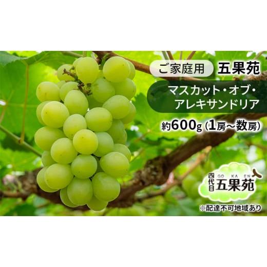 ふるさと納税 ぶどう マスカット 岡山県 瀬戸内市 ぶどう 2026年 先行予約 ご家庭用 マスカット・オブ・アレキサンドリア 約600g(1房〜数房) ぶどう フルー…