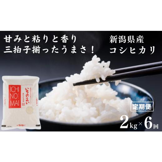 ふるさと納税 米 コシヒカリ 新潟県 糸魚川市 定期便 新潟県産コシヒカリ「いちのまい」2kg×6ヶ月 計12kg 米・食味鑑定士お墨付き 毎月精米したてを発送 こ…