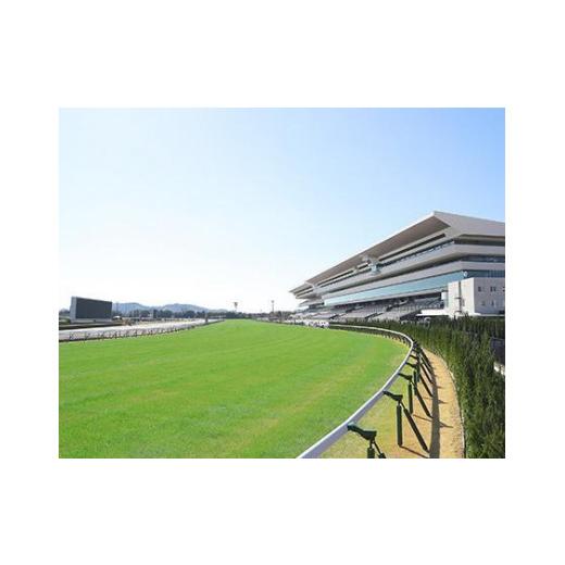 ふるさと納税 京都府 京都市 【11／25開催】京都競馬場　来賓席【第10回 ラジオNIKKEI杯 京都2歳ステークス（G３）】 G３
