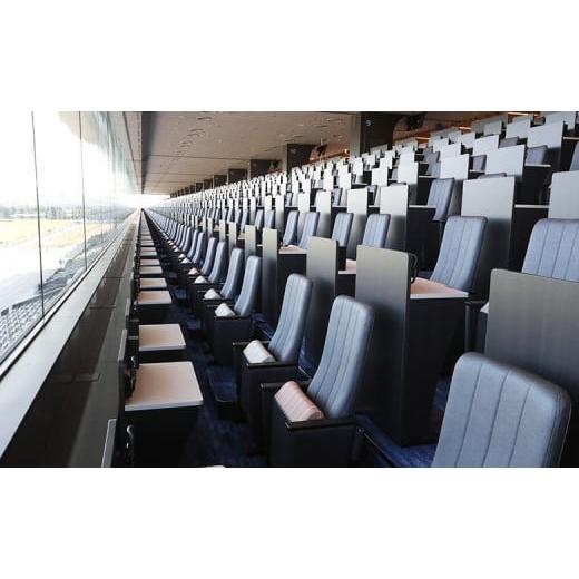 ふるさと納税 京都府 京都市 【11／25開催】京都競馬場　来賓席【第10回 ラジオNIKKEI杯 京都2歳ステークス（G３）】 G３