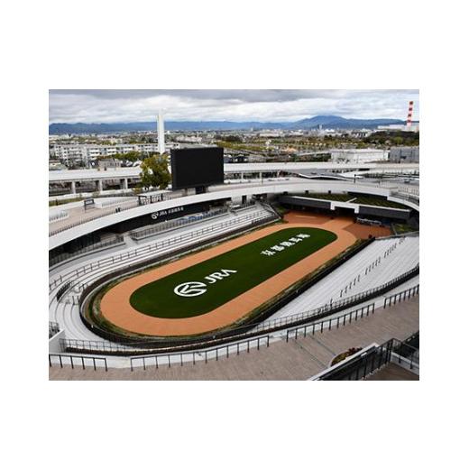 ふるさと納税 京都府 京都市 【11／25開催】京都競馬場　来賓席【第10回 ラジオNIKKEI杯 京都2歳ステークス（G３）】 G３