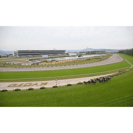 ふるさと納税 京都府 京都市 【11／25開催】京都競馬場　来賓席【第10回 ラジオNIKKEI杯 京都2歳ステークス（G３）】 G３