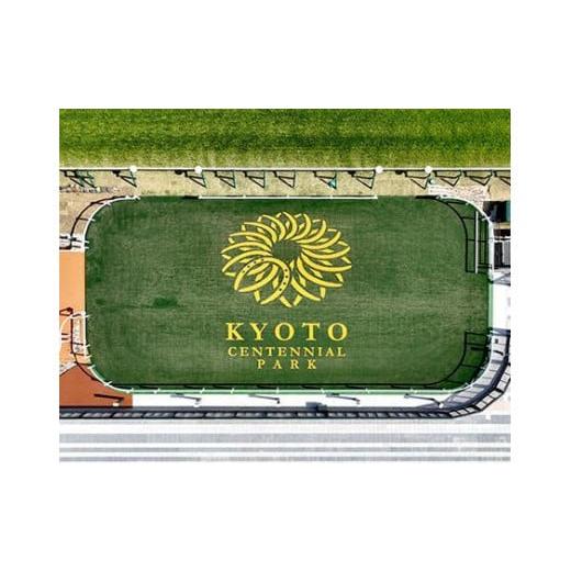 ふるさと納税 京都府 京都市 【11／25開催】京都競馬場　来賓席【第10回 ラジオNIKKEI杯 京都2歳ステークス（G３）】 G３