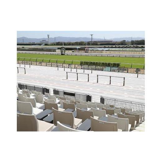 ふるさと納税 京都府 京都市 【11／25開催】京都競馬場　来賓席【第10回 ラジオNIKKEI杯 京都2歳ステークス（G３）】 G３
