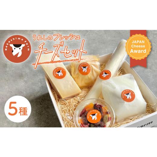 ふるさと納税 加工品等 チーズ 佐賀県 嬉野市 [選べる発送月]1月発送 うれしの フレッシュ チーズ 5種 セット ナカシマファーム NAJ009 ナカシマファーム チ…