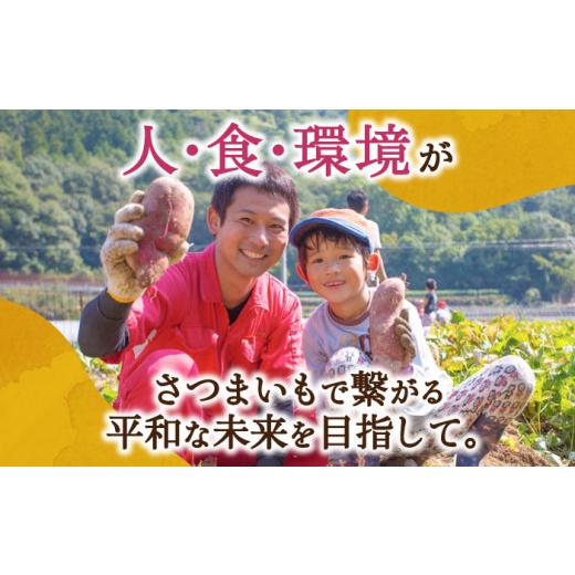 ふるさと納税 広島県 江田島市 【全12回定期便】芋の甘露煮がぎっしり！さつまいもの バターケーキ 1ホール芋 スイーツ お菓子 ギフト 広島 江田島市／峰商事 …｜furusatochoice｜06